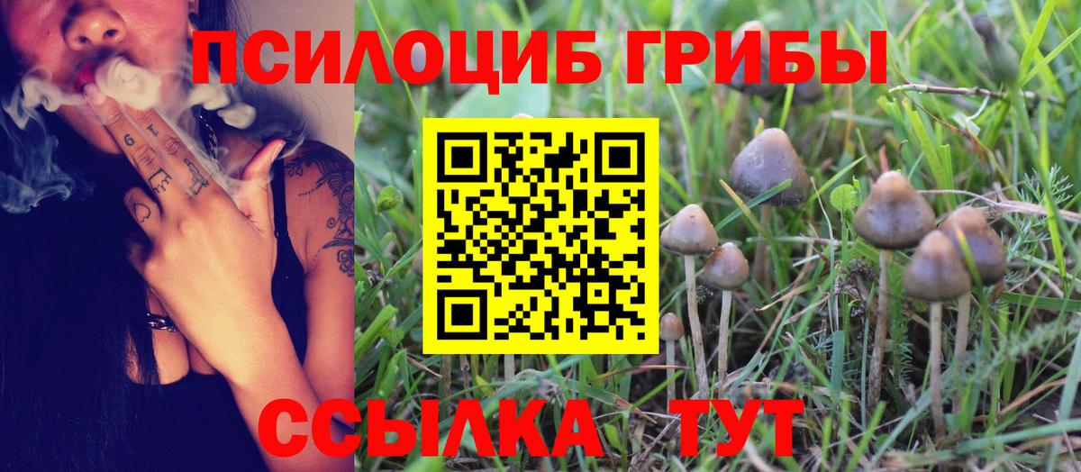 Псилоцибиновые грибы Psilocybine cubensis Спасск-Дальний