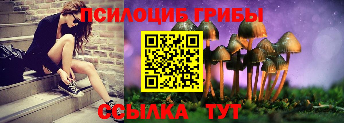 Псилоцибиновые грибы GOLDEN TEACHER  Псилоцибиновые грибы ЛСД  Вход с VPN  Спасск-Дальний 